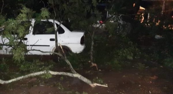 Video Temporal Con Ca Da De Granizos Causa Destrozos En Caaguaz