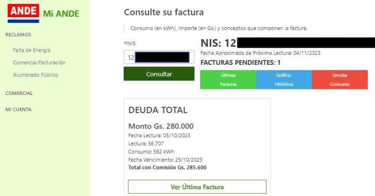 Factura De Consulta Por N Mero De Nis