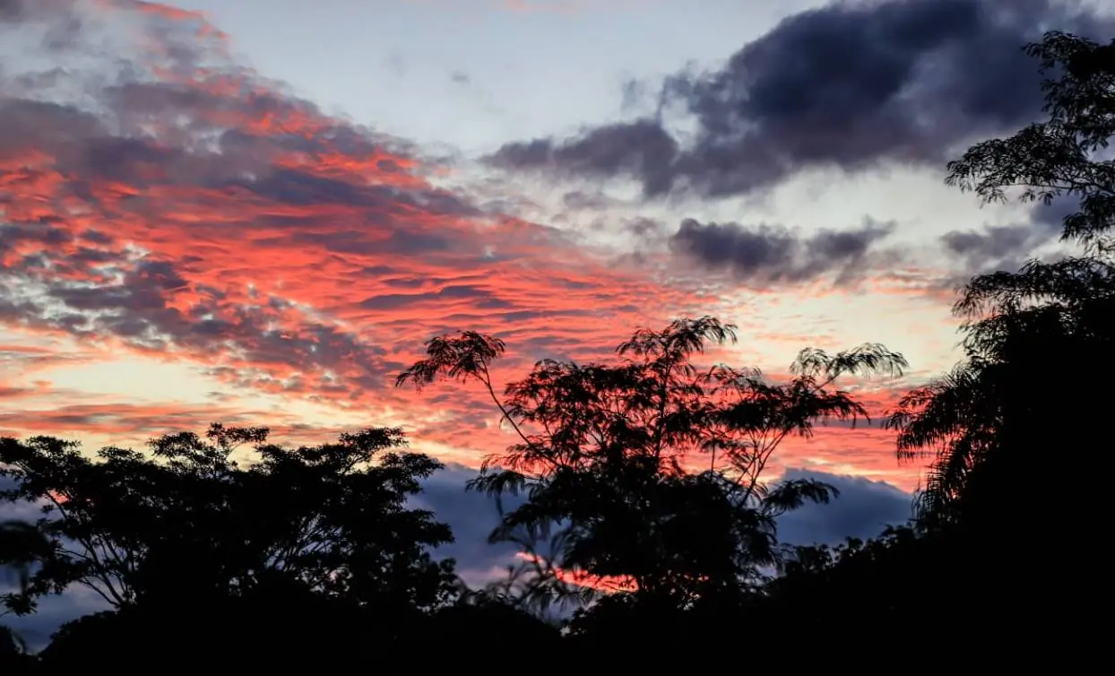 Clima De Hoy Cielo Despejado Y Temperaturas Agradables