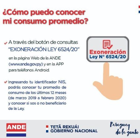 Exoneración de pago y otros beneficios otorgados por la Ley N° 6524/2020, para usuarios de ANDE Ande Exoneración de Facturas según Ley 6524-20