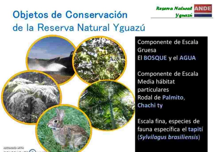 Reserva Natural Yguazú, de gran valor para la gestión de cuencas hídricas y para el turismo
