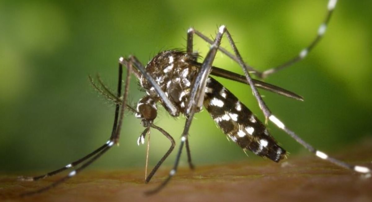 Primer fallecimiento a causa del dengue en lo que va del 2021