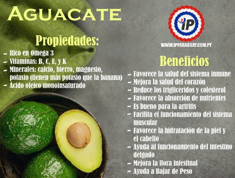 Aguacate Beneficios Origen Consumo Propiedades Y Recetas 4242