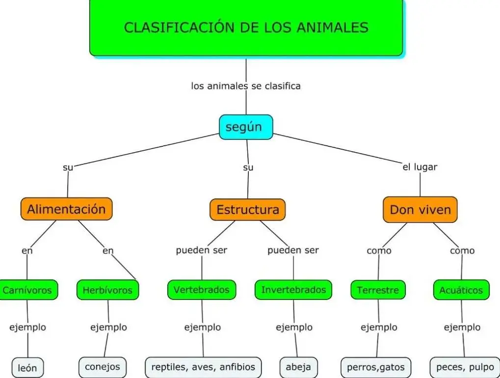 3. Cuadro de clasificación