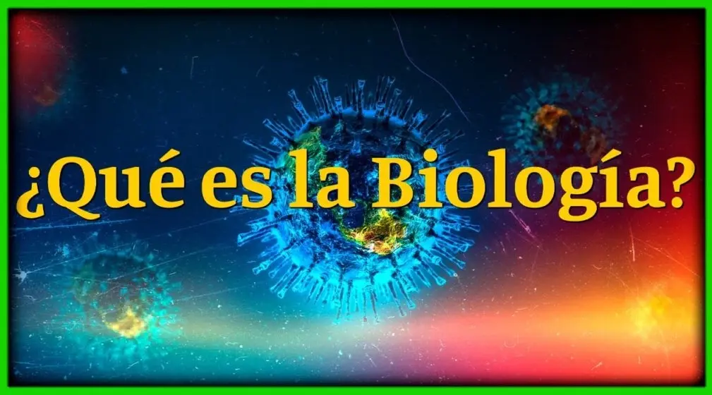 Biología que es - Historia - importancia - ramas de la biología