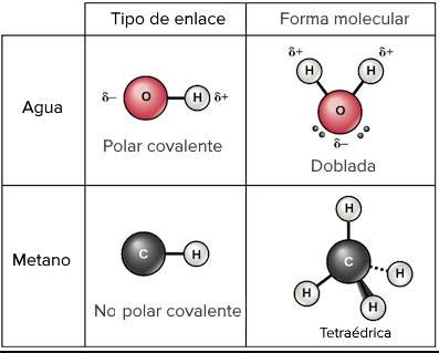 Ejemplo de enlace covalente polar y no polar