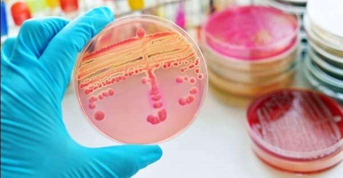 Microbiología: Qué es, Definición, Ramas, Historia y Importancia.