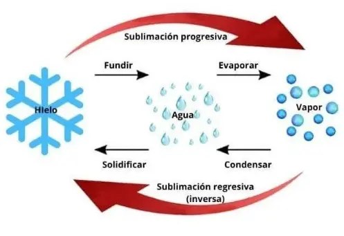 Modelos-de-sublimacion-fisico-quimica