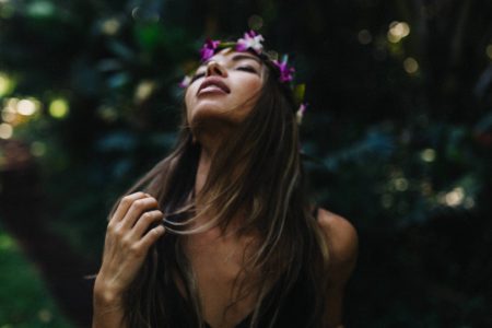 Meet Our Pets of the Week: An Arabian Mix Horse