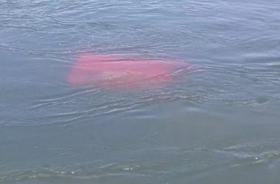 Camión tumba pierde frenos y se hunde en aguas del río Paraná