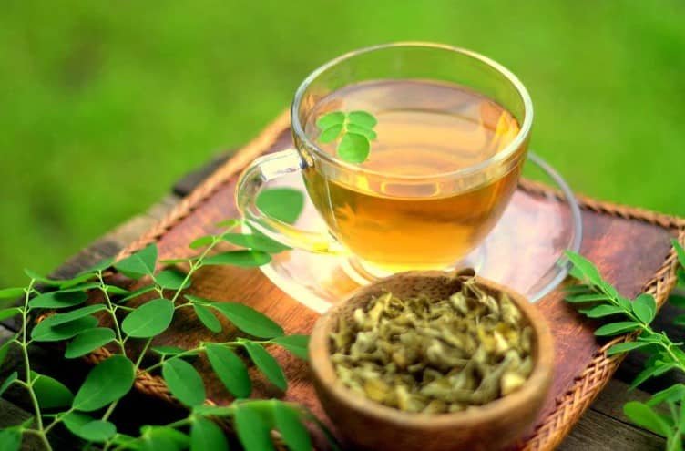 Moringa tea (Te de Moringa)