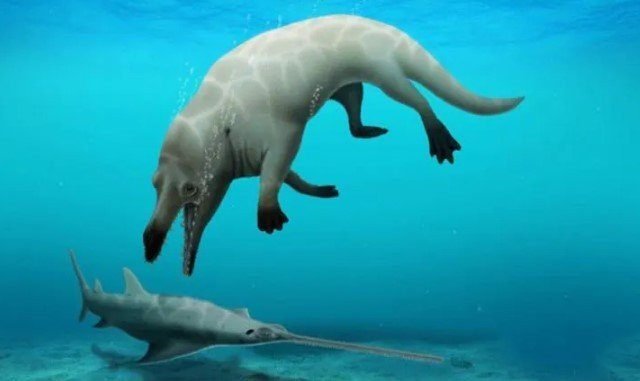 Hallan fósil de una ballena de cuatro patas en Egipto