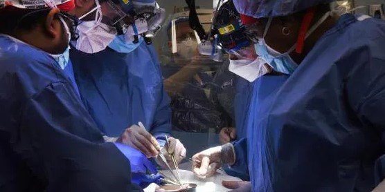 Efectúan de manera exitosa el primer trasplante de un corazón de cerdo a un humano