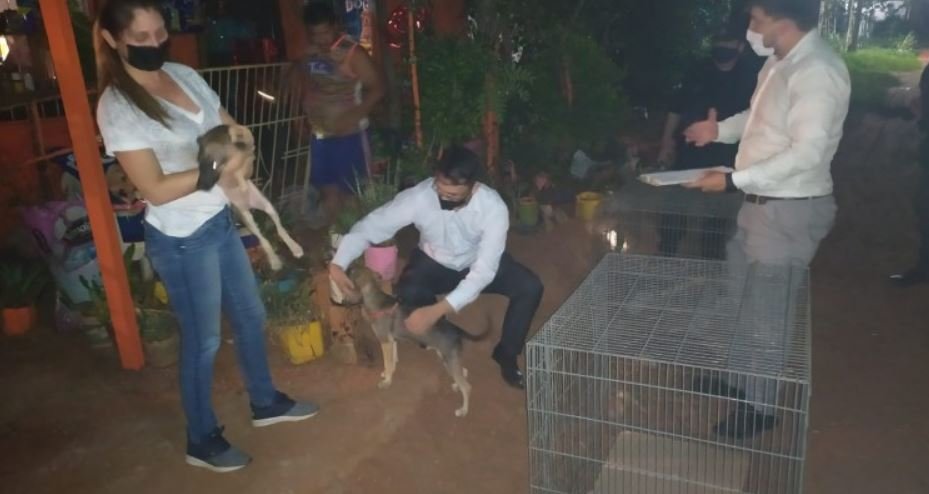Anciana torturada y encerrada con 14 perros en Luque