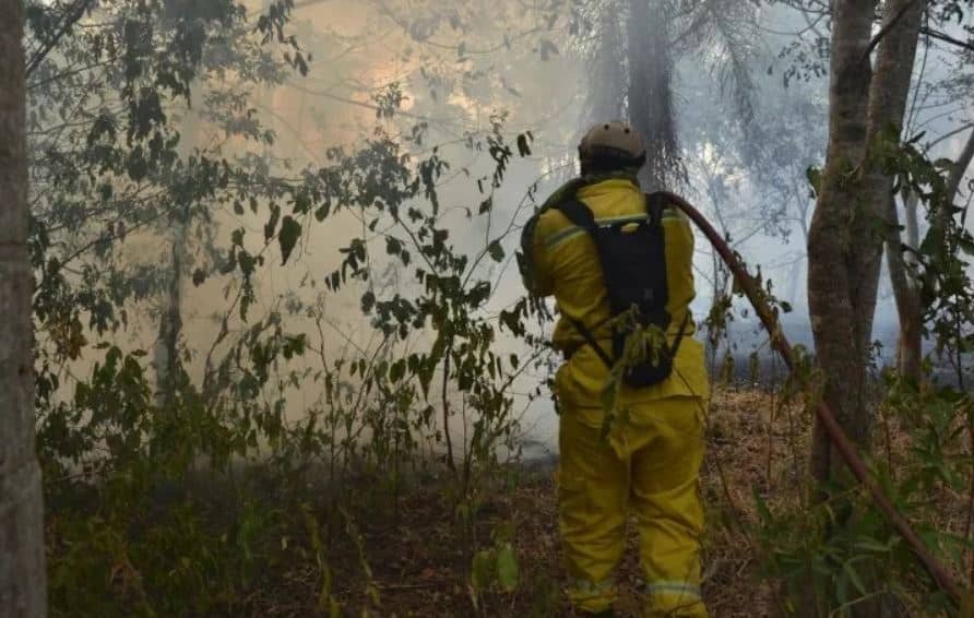 Frente a ola de incendios declaran emergencia ambiental en Ayolas