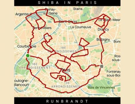 Hombre dibuja a Shiba Inu y Bitcoin en rastreador GPS en París Shiba Inu y Bitcoin en rastreador GPS-2