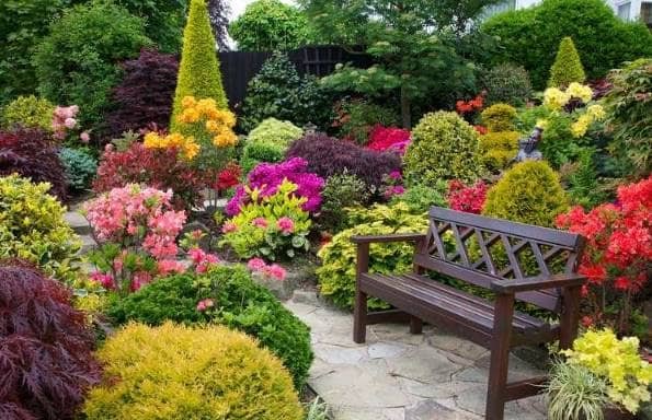 Bello Jardin con flores