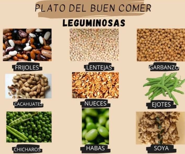 Leguminosas En El Plato Del Buen Comer 8105