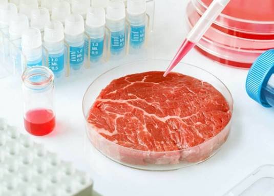 Llega la carne de plástico hecha en un laboratorio
