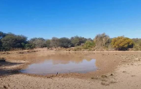 Sequía y desidia estatal obligan indígenas a tomar agua sucia