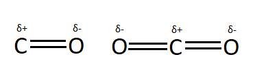 El CO2 puede contener el enlace polar C=O, pero es una molécula simétrica, por lo que los dipolos se anulan