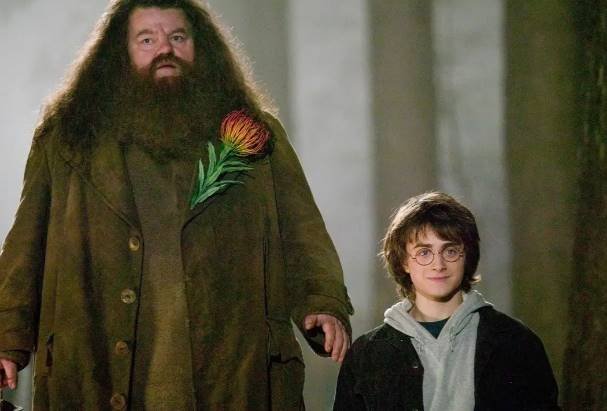 Muere el actor Robbie Coltrane Hagrid en la saga de Harry Potter
