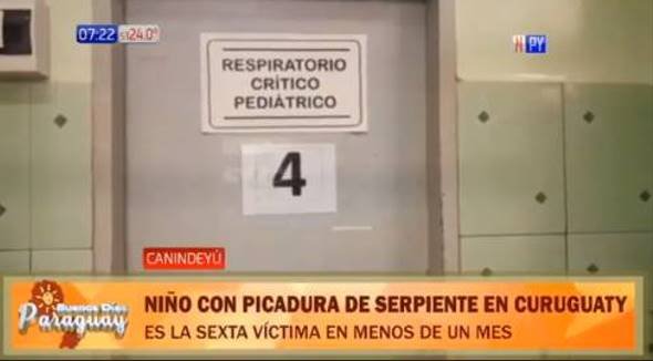 Niño de 3 años fue mordido por víbora y le trasladaron a Asunción