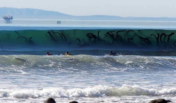 El Engaño de las Playas: Belleza y Riesgo