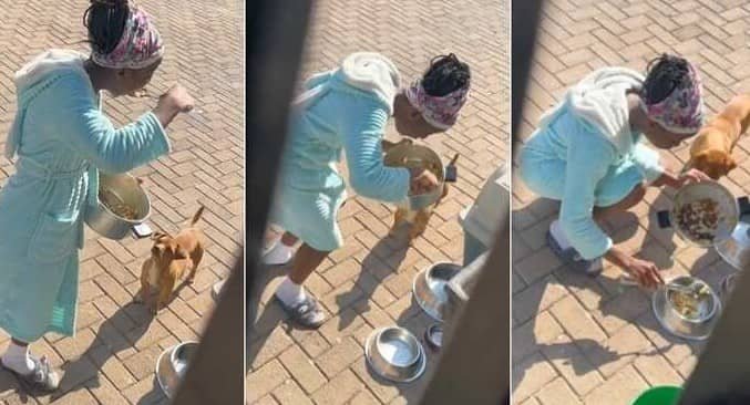Madre descubre a su hija degustando el alimento del perro