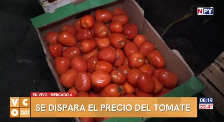 Aumento en el precio del tomate de Oro