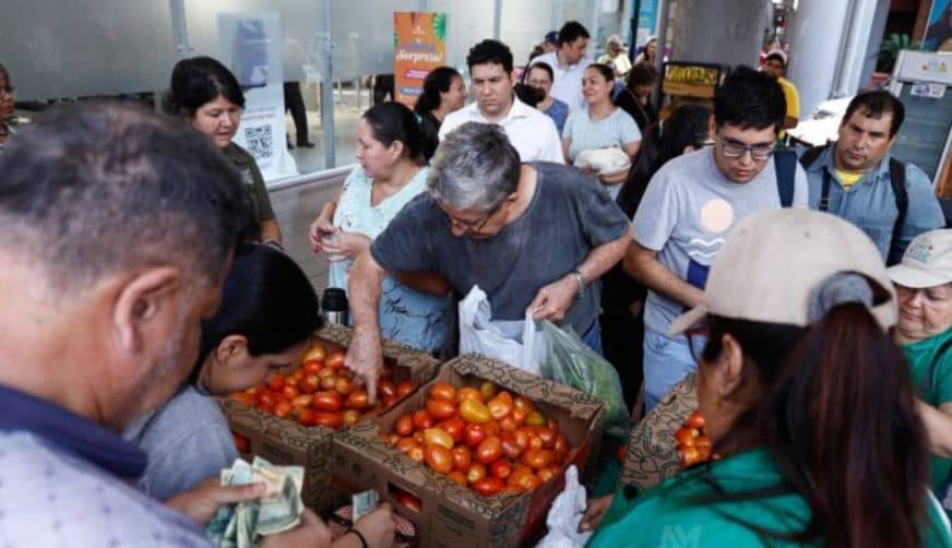 Éxito rotundo de productores en venta masiva de tomates