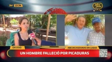 Tragedia: Ataque de Enjambre causa muerte y Desolación abejas asesinas en Luque