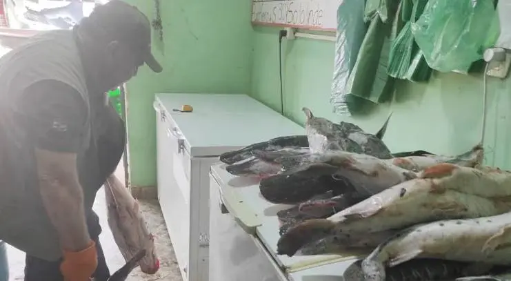 Decomisan pescados de comercios en Capiatá foto: MADES