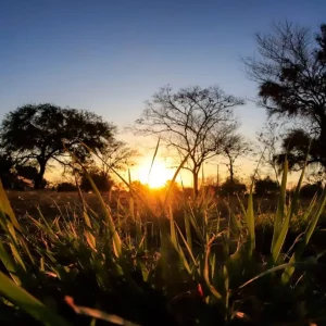 Hoy el clima se presentará con máxima de 29° y posibles lluvias Pronostico del tiempo 06-05-2024