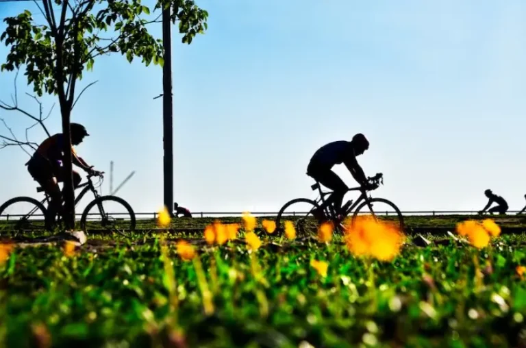 Pronóstico del tiempo jornada soleada y agradable con temperaturas moderadas