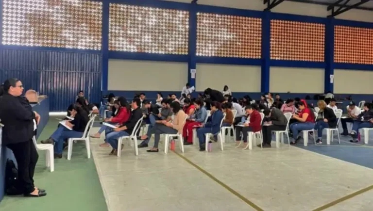 El 70% de los docentes se aplazan la comprensión lectora, uno de las dificultades