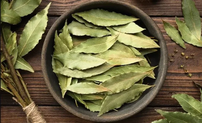 Sabías por qué es útil poner una hoja de laurel debajo de la almohada