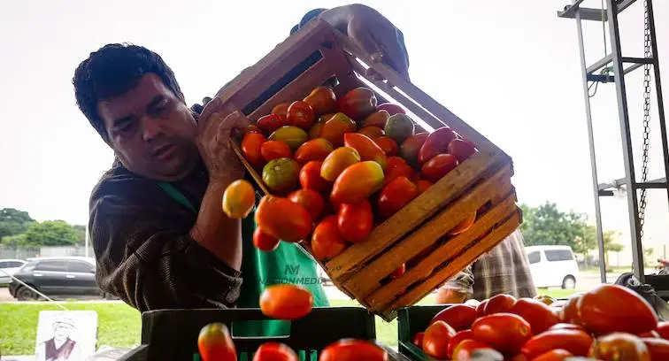 Tomate a G. 7.000 el kg en feria de la Costanera y en supermercados casi a G. 20.000