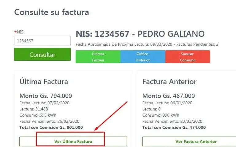 Ande Facturas consulta imprimir factura