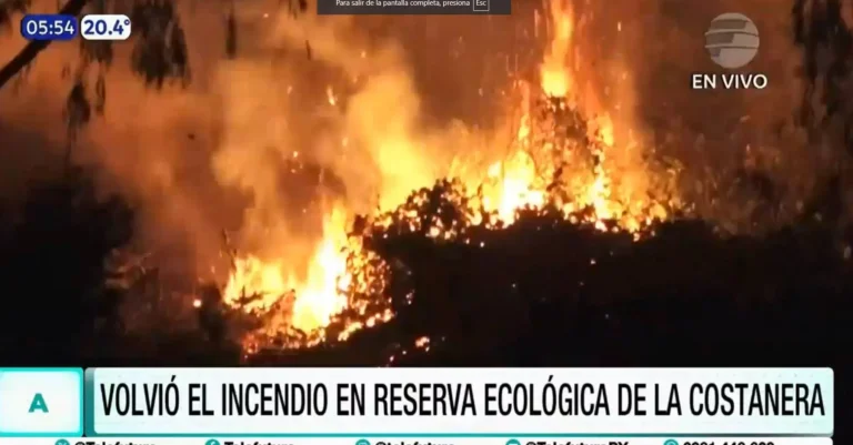 Se reaviva el fuego en la Reserva Ecológica de la Costanera