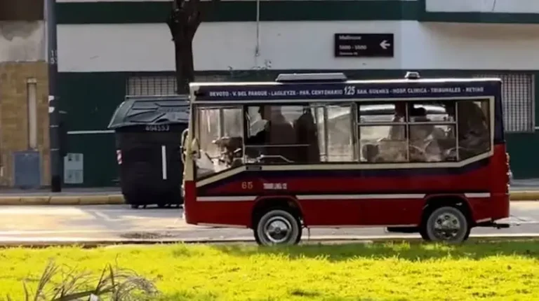 Un abuelo construyó un minibús para su nieta y se volvio viral