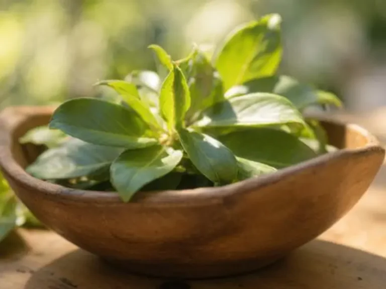 Los mejores remedios caseros para aliviar el dolor de garganta que si funcionan