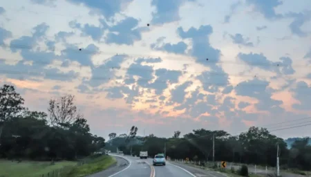 Ambiente cálido con lluvias dispersas