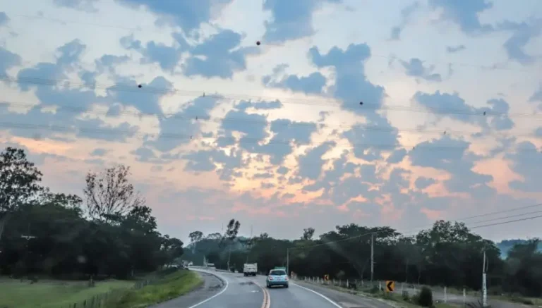 Ambiente cálido con lluvias dispersas