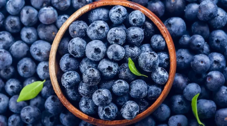 Arándanos el superalimento que destaca por sus beneficios para la salud Arándanos el superalimento que destaca por sus beneficios para la salud