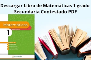 descargar libro de matematicas 1 grado de secundaria contestado pdf