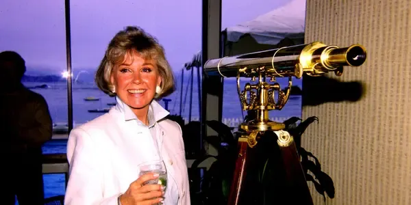 What is Doris Day net worth estimated? How did he get his fortune?
